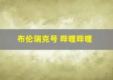 布伦瑞克号 哔哩哔哩